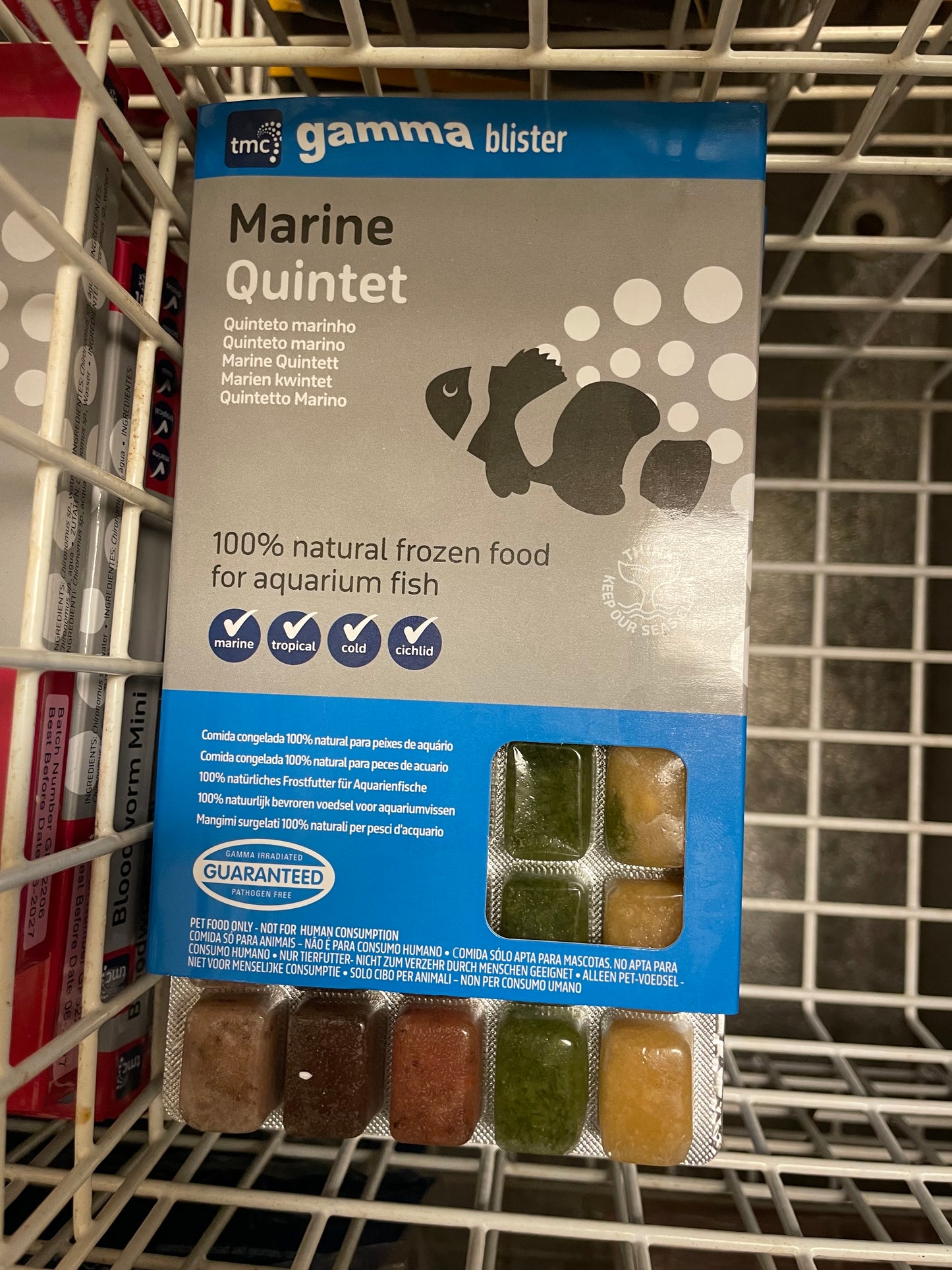 Marine Quintet