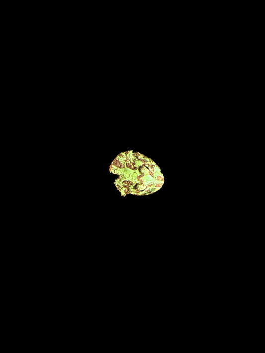 Blue green Pac-Man Frog